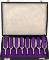 Tuning Fork :